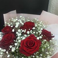 Изображение 4
