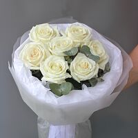 Изображение 5