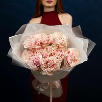 Изображение 3