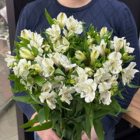 Изображение 5
