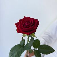 Изображение 7