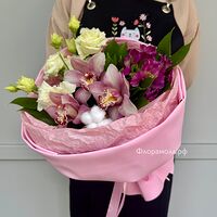 Изображение 3