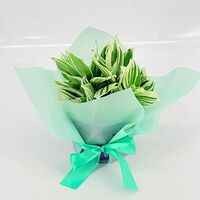 Изображение 4