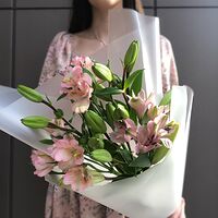 Изображение 3