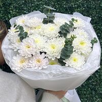 Изображение 2