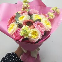 Изображение 1