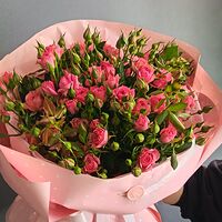 Изображение 2