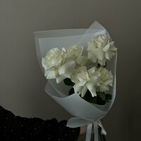 Изображение 4