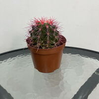 Изображение 4