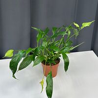 Изображение 7