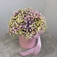 Изображение 3