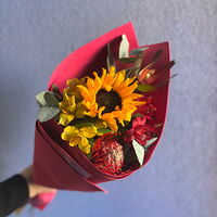 Изображение 3