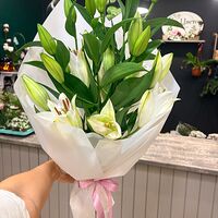 Изображение 3