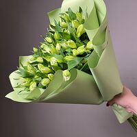 Изображение 5