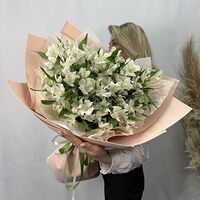 Изображение 2