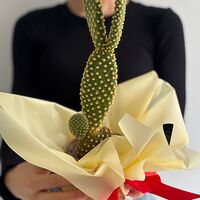 Изображение 2