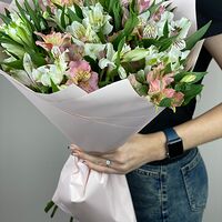 Изображение 4