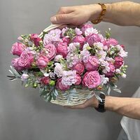 Изображение 6