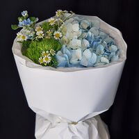 Изображение 3