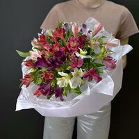 Изображение 6