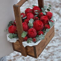 Изображение 4