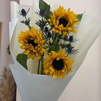 Изображение 3