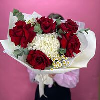 Изображение 8
