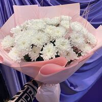Изображение 8