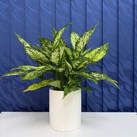 Изображение 6