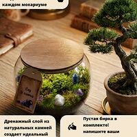 Изображение 7