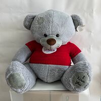 Изображение 1