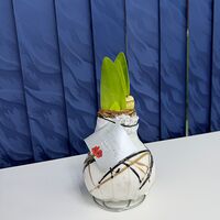 Изображение 4