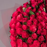 Изображение 14