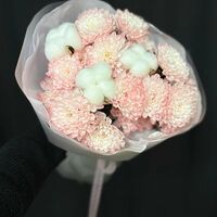 Изображение 3