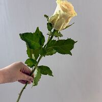 Изображение 8