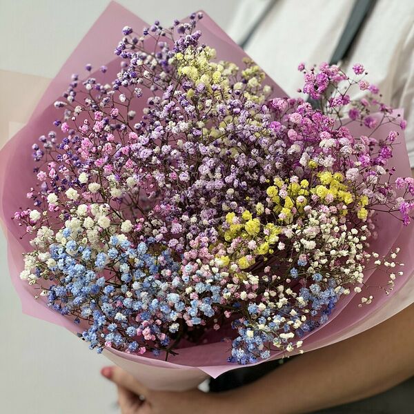 Яркая гипсофила