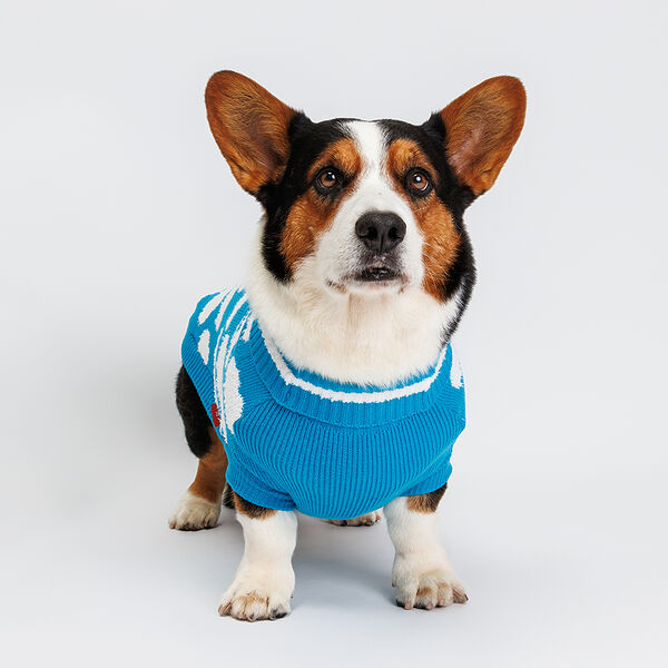 Свитер для собак, 55 см, голубой с облаками