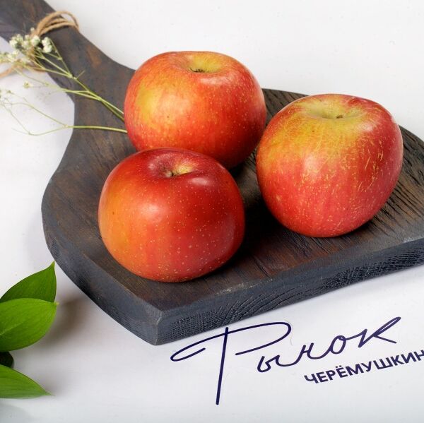 Яблоко Гала