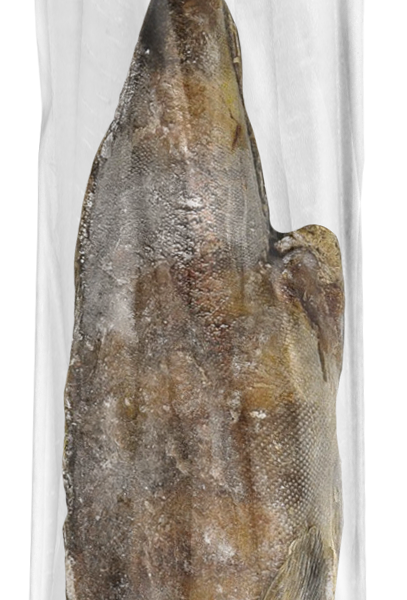 Рыба Терпуг тушка замороженная, вес