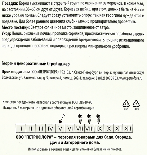 

Корневище ПЕТРОФЛОРА Георгина декоративная Стрейнджер
