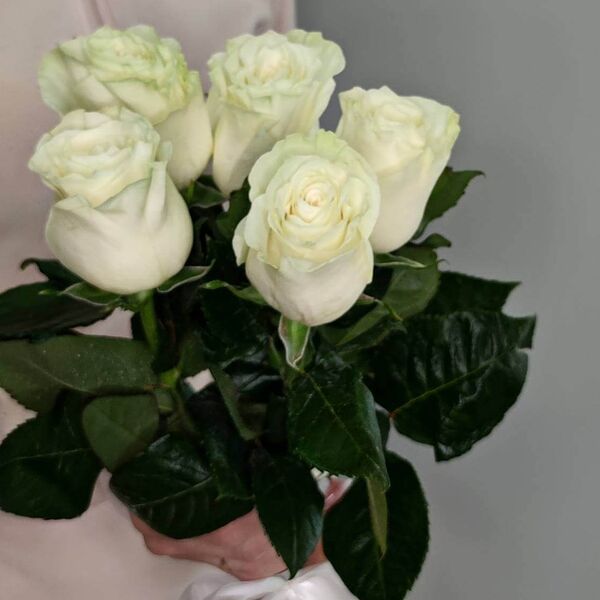 Букет 5 роз 60 см