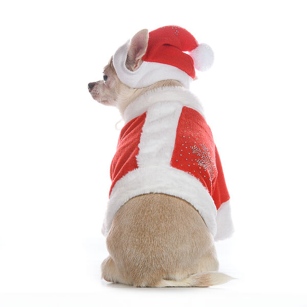 Шубка для собак Деда Мороза XL красный (унисекс)