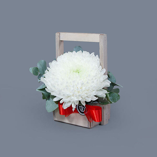 Композиция Белое солнце Ирис