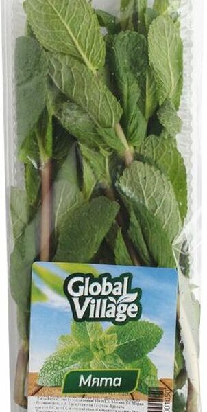 Мята Global Village свежая, 50 г
