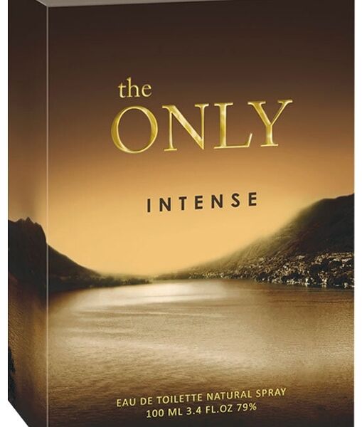 Туалетная вода Christine Lavoisier The Only Intense мужская