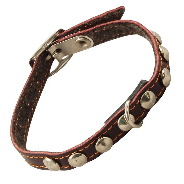 Гамма ошейник-мини кожаный одинарный на синтепоне с украшением 10 мм х 25 см.