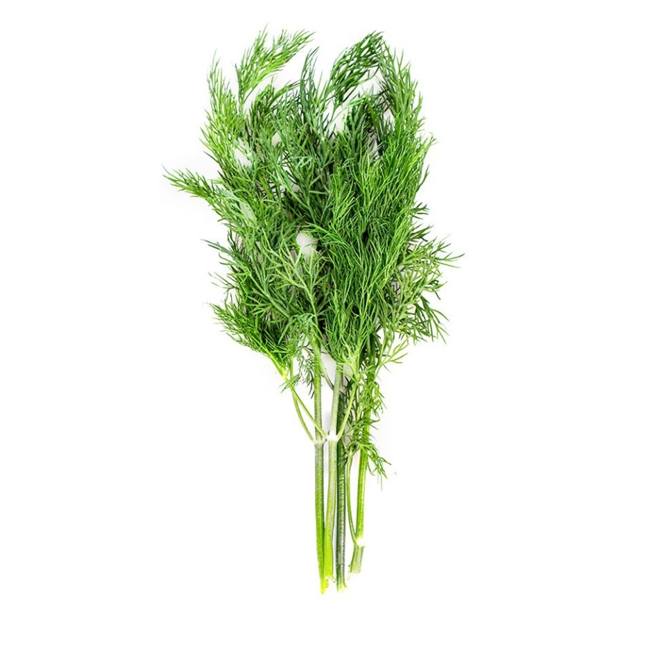 

Укроп свежий вес