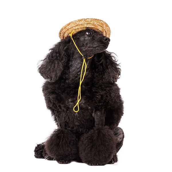 Шляпка соломенная M 16см