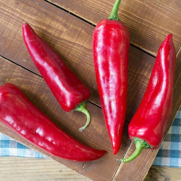 Перец сладкий Рамиро