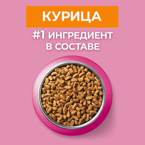 

Сухой корм для котят Purina One с высоким содержанием курицы и цельными злаками 200 г